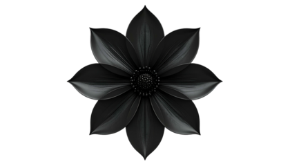 A stylized, monochromatic rendering of a flower, set against a black backdrop