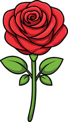 A red rose highlighted by a spotlight against a white background, shown from above for advertising and presentation purposes, created using  imagery