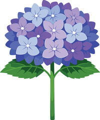A front-facing blue‑purple hydrangea set against a clear white backdrop, illuminated by a spotlight for product display, created from  imagery