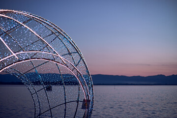 Light show and colorful flower garden decoration
