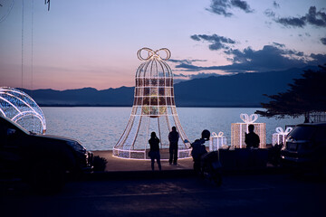 Light show and colorful flower garden decoration