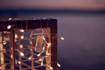 Light show and colorful flower garden decoration