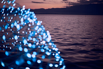 Light show and colorful flower garden decoration