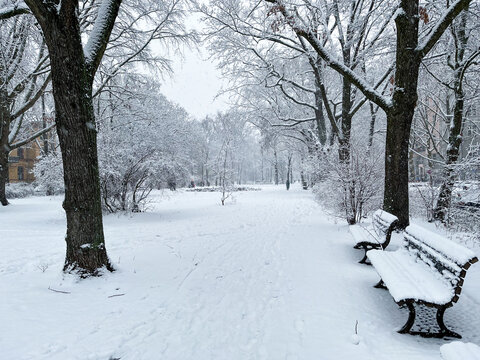 Snow covered park with benches at Grimmstrasse in Berlin Kreuzberg on a winter day in January 