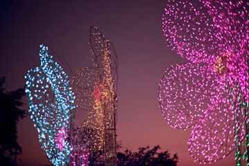Light show and colorful flower garden decoration