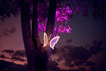 Light show and colorful flower garden decoration