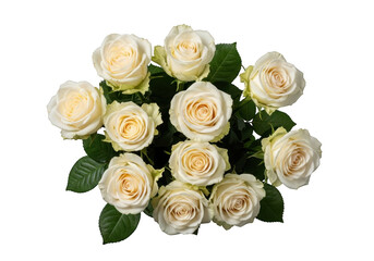 Obraz premium A beautiful bouquet of cream colored roses on a black background