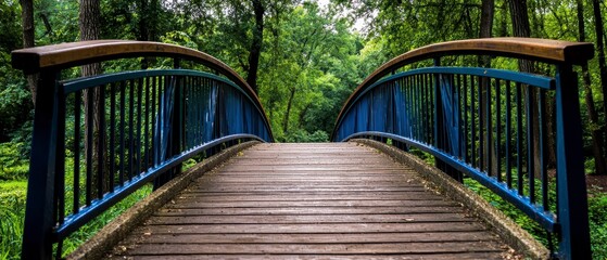Arched Wooden Bridge Leading Through a Lush Green Forest Path