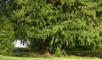 La campagne &agrave; Briec en Bretagne Finist&egrave;re