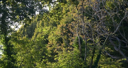 La campagne &agrave; Briec en Bretagne Finist&egrave;re