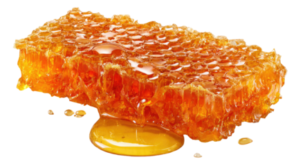Honey with honeycomb isolated on white background as a healthy luxury seafood appetizer and sweet breakfast snack
