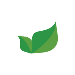 leaf  logo icon illustration flat