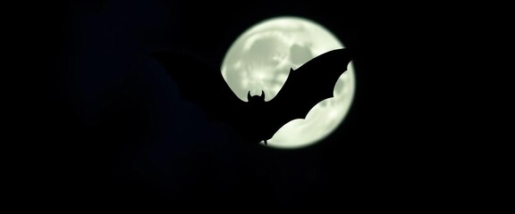 Spooky bat silhouette against a full moon on a dark night,  silhouette,  creepy