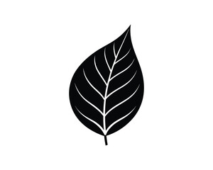 Black silhouette of a leaf with veins on white background plant nature