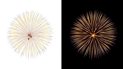 Obraz premium Fireworks display in white and black backgrounds