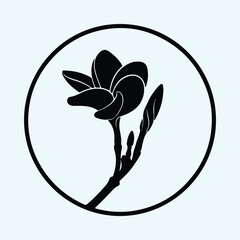 Silhouette Plumeria flower and buds in circle Vector Illustration