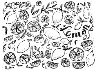 Obraz premium Juicy Lemon Fruit pattern Vector Transparent Background and word marks