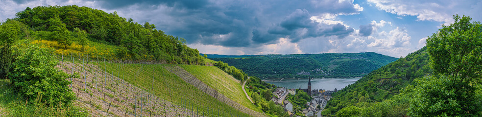 View from above down into the Rhine Valley near Lorchhausen