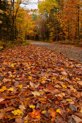 A road in autumn, Sainte-Apolline, Qu&eacute;bec, Canada
