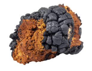 A dark, textured mass with a rough surface and contrasting orange-brown interior, resembling a geological formation or mineral specimen.