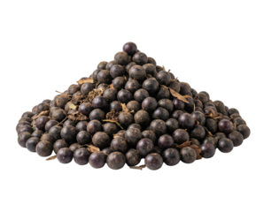 A mound of small, dark purple fruits displaying a glossy surface and earthy tones, surrounded by tiny twigs and leaves.