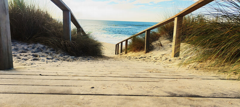 Wooden Walkway or path with hand rail with green blue turquoise water ocean or sea over nature in Aveiro