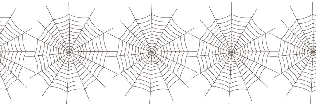 spider web on black background