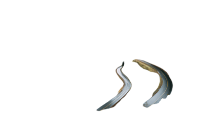 Winding mountain road through dense forest symbolizing adventure travel, scenic route, nature exploration, outdoor journey, and wilderness concept on white background