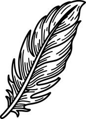 Obraz premium Detailed feather illustration with intricate lines and natural texture on white background