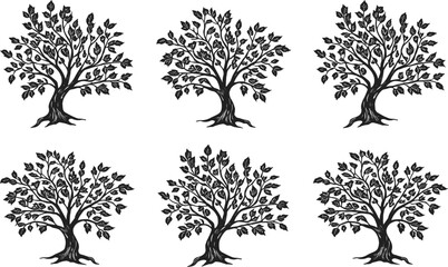 Fototapeta premium Set Of Six Hand Drawn Olive Tree Vector Icons For Mediterranean Garden Landscaping And Agriculture Logo