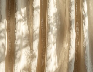 Wood Texture Background