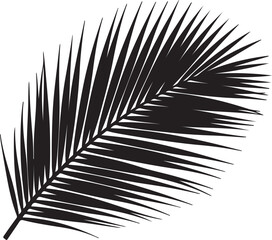 Obraz premium Palm leaf silhouette