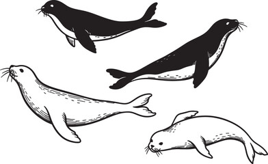 Set of four swimming sea animals illustrated in black and white