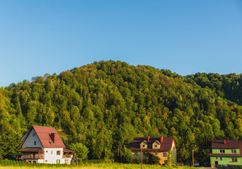 Small countryside houses sit at the base of a forested hillside under a clear blue sky. Warm sunlight highlights rural life, nature, and harmony between architecture and landscape.
