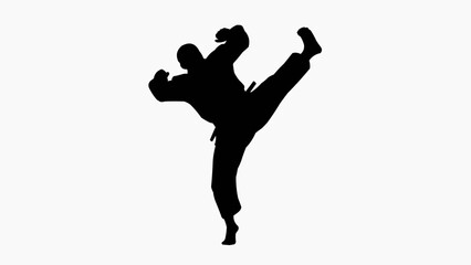Martial arts silhouette of a person in dynamic kick pose