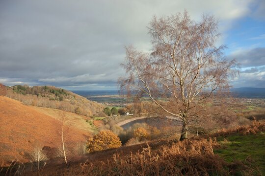 Malvern Hills, Worcestershire, England
