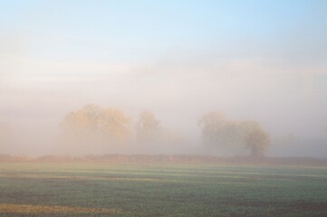 Misty farmland background