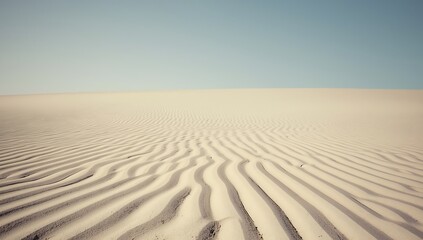 A vast sandy desert landscape with rippled sand dunes under a clear blue sky on a sunny day
