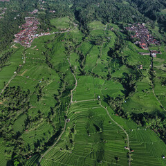 Aerial Top Down View Rice Terraces Lush Green Patchwork Of Terraced Paddies, Winding Footpaths, Scattered