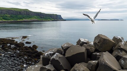 Scenic Icelandic coastal view with basalt columns lining the shore a lone seagull flying over the ocean and misty clouds creating a mysterious moody atmosphere