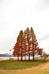 양평, 두물머리