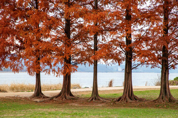 양평, 두물머리