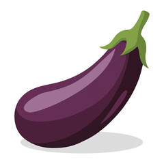 Fresh Eggplant Vegetable Isolated on White Background Flat Vector Illustration