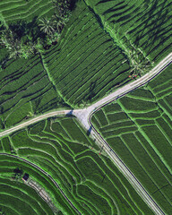 Aerial Drone View Of Rice Terraces At Crossroads, Winding Road Slicing Vibrant Green Paddies, Layered Contours