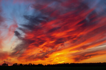 Dramatic fiery sunset sky with red and orange cirrus clouds over a dark forest horizon