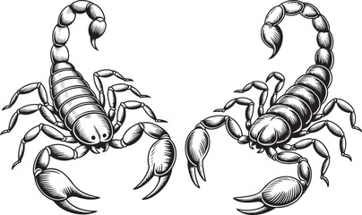 Hand drawn style Scorpion silhouette set isolated on transparent background