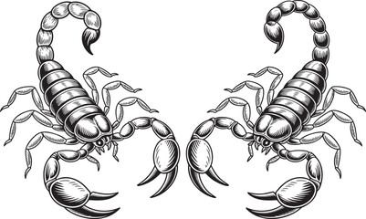 Hand drawn style Scorpion silhouette set isolated on transparent background