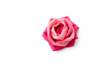 A rose is the main focus of the image, with its pink petals and stem