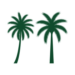 Palm Tree Silhouette Icon Set with Curved and Straight Trunks in Black Vector