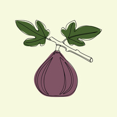 Continuous line drawing fig fruit on branch with leaves color minimal style vector